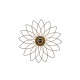 Lotus 187WL1.10BL.052 Lotus 187WL1.10BL.052