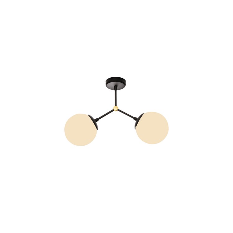 DNA 112CL2.40BG.04 DNA 112CL2.40BG.04