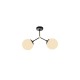 DNA 112CL2.40BG.04 DNA 112CL2.40BG.04