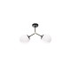 DNA 112CL2.40BG.04 DNA 112CL2.40BG.04