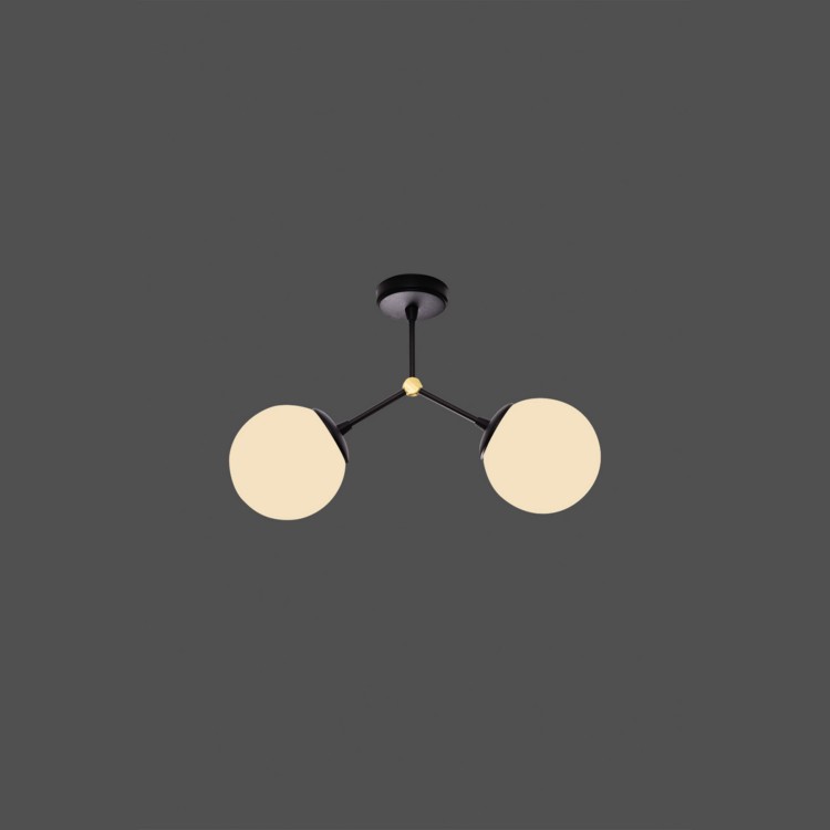 DNA 112CL2.40BG.04 DNA 112CL2.40BG.04