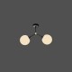 DNA 112CL2.40BG.04 DNA 112CL2.40BG.04