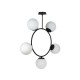 Turtle 194PL5.30BW40 Turtle 194PL5.30BW40