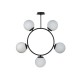 Turtle 194PL5.30BW40 Turtle 194PL5.30BW40
